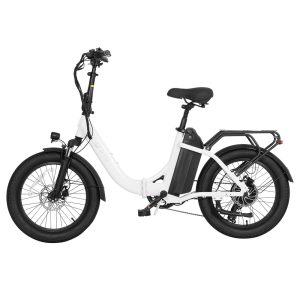 DYU C9 Folding Electric Bike 250W Motor 48V 15.6Ah Battery 20*3.0 inch Tires 25km/h Max Speed 150km Range Oil Brake Front Shock Absorber Shimano 7-speed - White