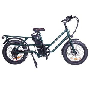 GOGOBEST GF200 Electric Bike 500W Motor 48V 15.6Ah Battery 20*3.0 inch Tires 45km/h Max Speed 80km Max Range Mechanical Disc Brakes Shimano 7-speed LCD Display - Green