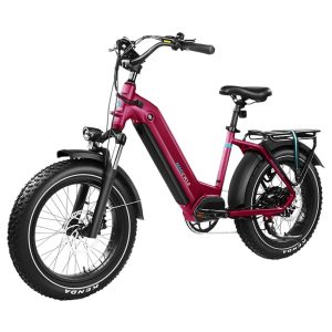 Magicycle Ocelot Pro Electric Bike 750W Motor 52V 20Ah Battery 20*4.0 inch Fat Tires 28mph Max Speed 100 Miles Range HydraulicDisc Brakes Hydraulic Lockout Suspension Fork Shimano 7 speed - Red