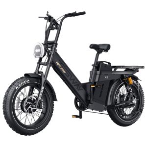 TESWAY X5 AWD Electric Bike 1000W*2 Motor 52V 60Ah Battery 20*4 inch Tires 60km/h Max Speed 300km Max Range Dual Hydraulic Brakes Full Suspension Shimano 7-speed - Black