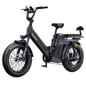 TESWAY X5 Pro Electric Bike 1000W Motor 48V 60Ah Battery 20*4.0-inch Tires 50km/h Max Speed 300km Max Range Dual Hydraulic Brakes Full Suspension Shimano 7-speed - Black