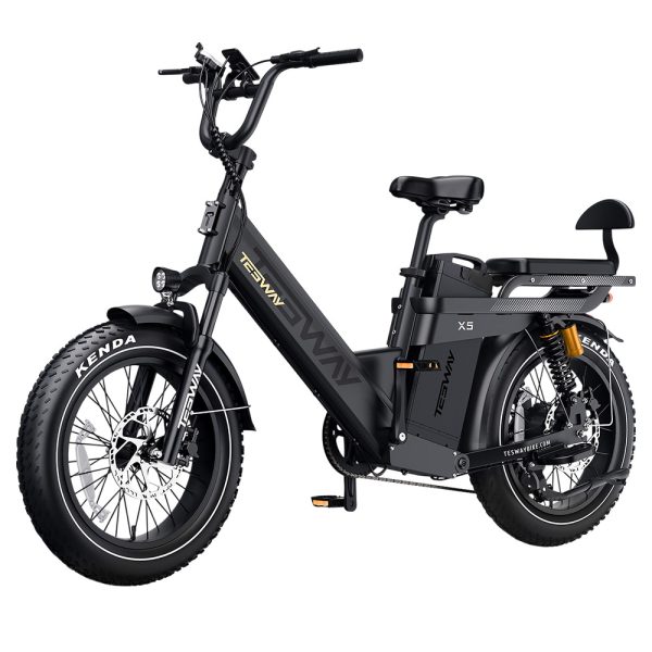 TESWAY X5 Pro Electric Bike 1000W Motor 48V 60Ah Battery 20*4.0-inch Tires 50km/h Max Speed 300km Max Range Dual Hydraulic Brakes Full Suspension Shimano 7-speed - Black