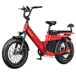 TESWAY X5 Pro Electric Bike 1000W Motor 48V 60Ah Battery 20*4.0-inch Tires 50km/h Max Speed 300km Max Range Dual Hydraulic Brakes Full Suspension Shimano 7-speed - Red