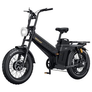 TESWAY X7 AWD Electric Bike 1000W*2 Motor 52V 60Ah Battery 20*4 inch Tires 60km/h Max Speed 320km Max Range Dual Hydraulic Brakes Full Suspension Shimano 7-speed - Black