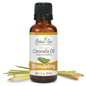 Outdoor Summertime Favorite!