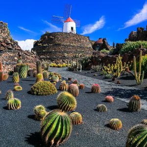 Cheap flight from London to Lanzarote with Gotogate UK.